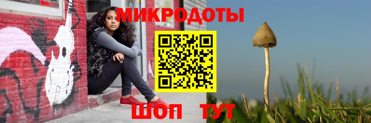 Удомля  Псилоцибиновые грибы Cubensis  Вход с VPN 
